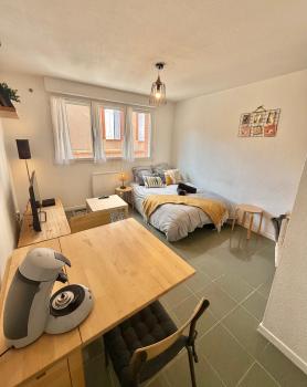 Studio Calme et Confort - Saint-Cyprien - Pont Neuf, Toulouse (fotografie 4)