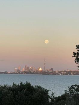 Auckland Sunrise Sea View, Auckland (foto 4)