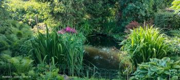Pension Kaden, Dresde (photo 5)