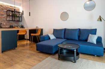 Vila Ferdinand - Apartament Iarina, Sinaia (foto 4)