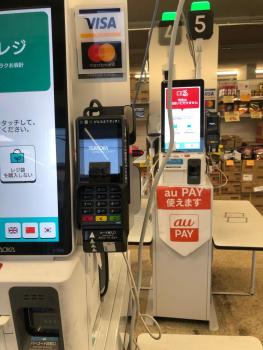 日本家庭風一軒家 いずみ, Sendai (foto 4)