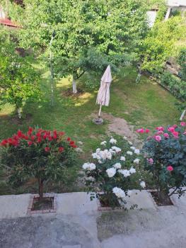 aspa2, Platamonas (foto 2)