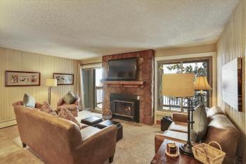 Skiwatch 317, Breckenridge (photo 2)