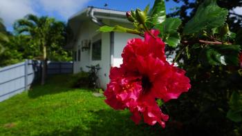 MOOREA - Fare Moohono Tohora, Papetoai (photo 2)