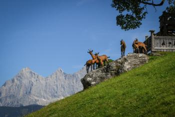 Strickhof, Schladming (photo 5)