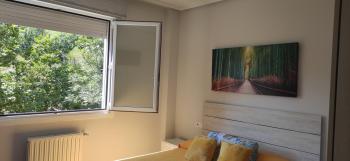 Spacious with free parking in Old Town-Casco Viejo, Bilbao (foto 5)