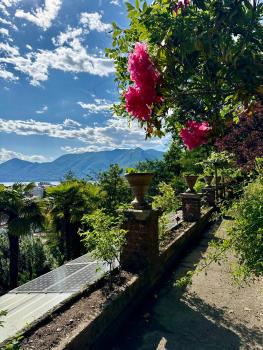 Magic Garden - Since 1911, Luino (fotografie 2)