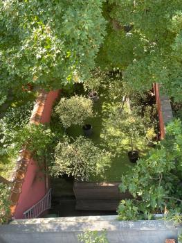 Le Flagey green place, Bruxelles (photo 2)