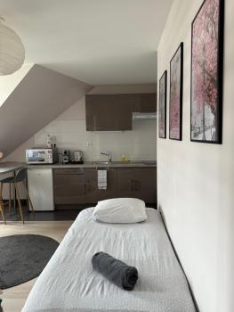 Appartement Strasbourg Centre, Strasbourg (photo 2)