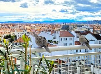 PLEIN SUD Terrasse Garage Netflix Climatisation, Lyon (photo 5)