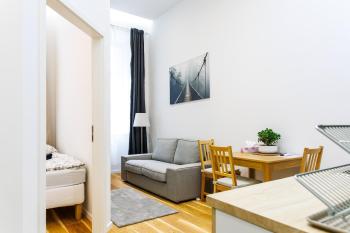 Top Apart close to city center, Vienne (photo 2)