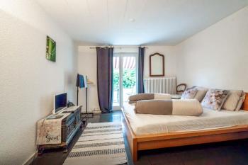 Sunny Home near Zurich Airport, Curych (fotografie 5)