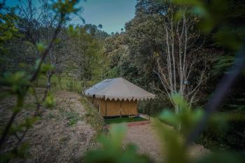 Mount Look, Mukteshwar (foto 3)