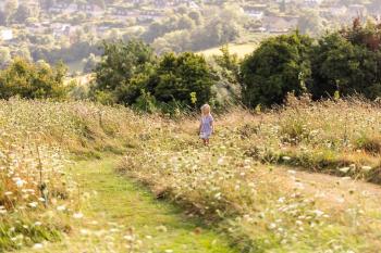 The Natterjack, Bath - Glamping, Бат (фото 5)