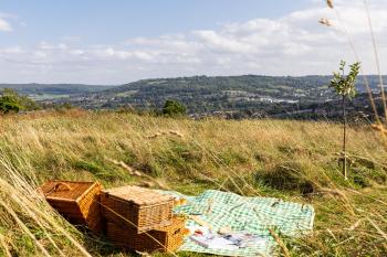 The Natterjack, Bath - Glamping, Бат (фото 4)