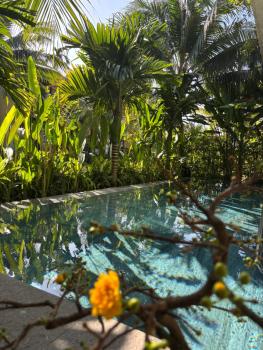Casa Villa Hoi An - View sông lãng mạn, hồ bơi riêng, Hoi An (zdjęcie 3)