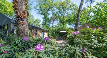 Tinyhouse Grasmus, Nunspeet (photo 4)