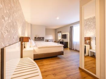 Hotel Spalentor - Ihr sympathisches Stadthotel, Basilea (foto 4)
