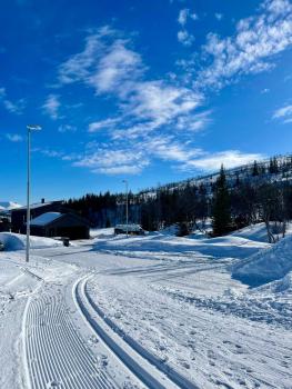Eidekollen, Lii (zdjęcie 5)