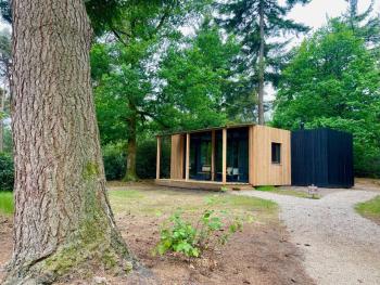 Forest Cabin in the woods, Holten (fotografie 5)