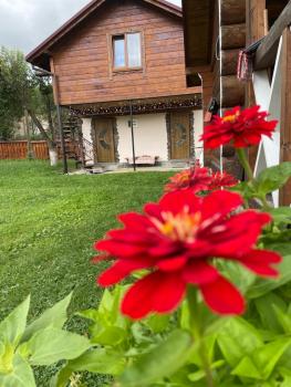Pidkova, Verkhovyna (photo 2)