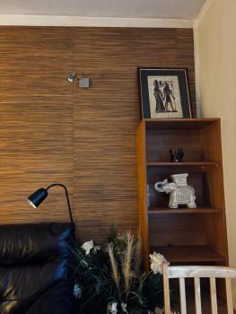 Cozy one room apartment in the nice Kalamaja district, Tallin (foto 2)