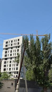 Pana Inn, Almaty (foto 5)