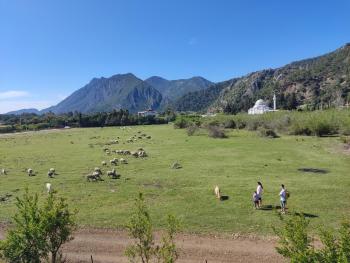 Villa Nar, Çıralı (fotografie 2)