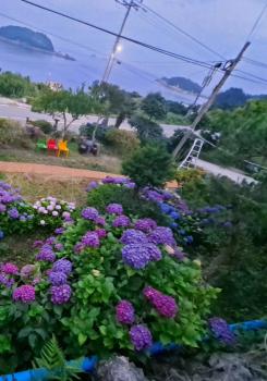 뜰안정원, Yeosu (foto 4)