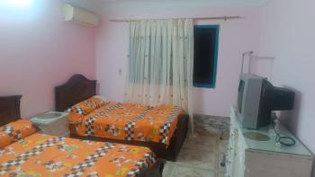 شقة مفروشة بالكامل والأجهزة والتكييفات ببورفؤاد بابراج محمدعلي ببورفؤاد, Port Said (photo 3)