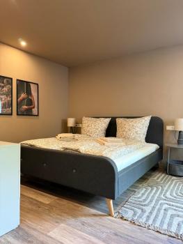 Studio Liva Modernes Apartment mit kostenlosem Parkplatz, Herdorf (photo 3)