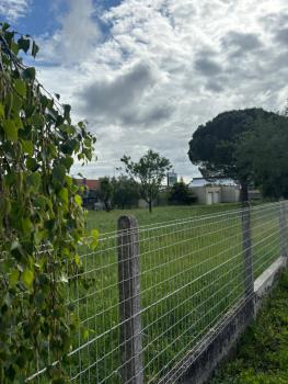 TANT-GUO Bella home, Tolosa (foto 2)