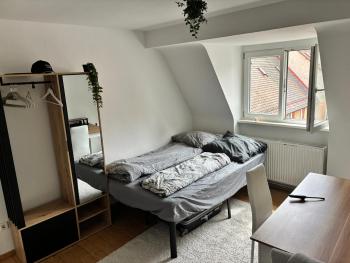 Loft near the Castle, Private Room - shared spaces and bathroom, Nürnberg (photo 3)
