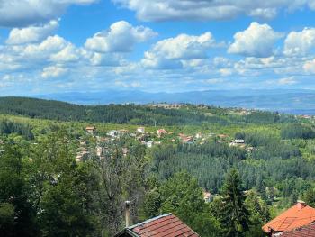 Kъщичка в полите на планина Витоша с коне и животни, Sofia (zdjęcie 3)