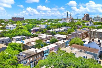 Jet Setter, Savannah (foto 4)