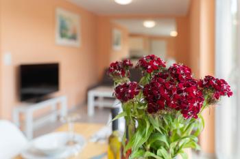 Comfy Apartment Köln, Кёльн (фото 3)