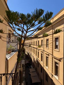 Dimora San Domenico, Palermo (photo 4)