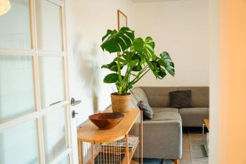 Spacious Nordic Cph Apt Garden I 5 Min to Metro, Kodaň (fotografie 5)