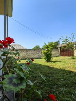 Marvel, Mekhrably (фото 5)