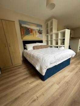 Small, perfectly formed studio, Dublin (fotografie 2)