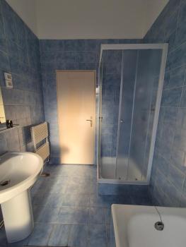 Center flat 160m2, Lublaň (fotografie 4)