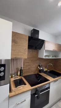 Softwave Wellness Home strasbourg with garage included, Estrasburgo (foto 4)
