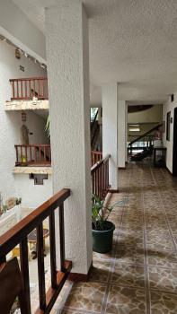 Hotel - Museo Xibalba, Palenque (foto 2)