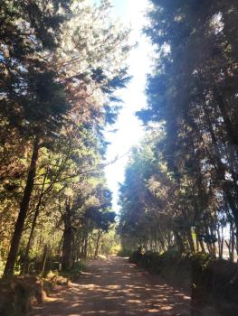 Cabaña LA MORADA, Medellín (fotografie 4)