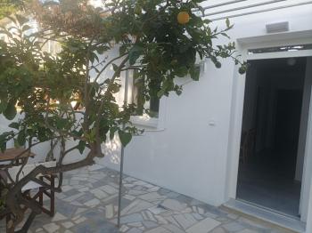 Lemon Tree 2, Parikia (foto 4)