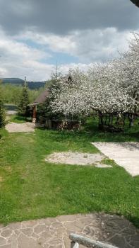 Колорит, Mykulyčyn (fotografie 5)