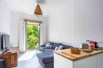 Spacious apartment historic center Santa Cruz, Seville (photo 5)