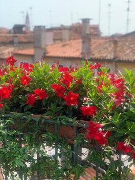 Top Floor Terrace Elegant Apartment 4 min from St Mark s Square No Lift- VHA Collection, Benátky (fotografie 5)
