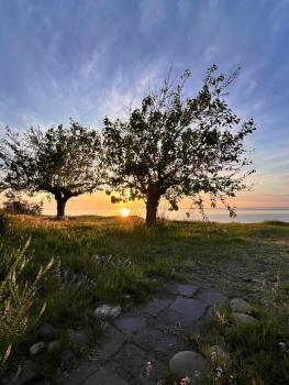 House on the Sea, Mascali (foto 2)