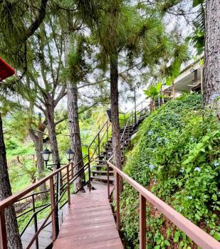 Suite by Chalet de Tahiti, Punaauia (photo 2)